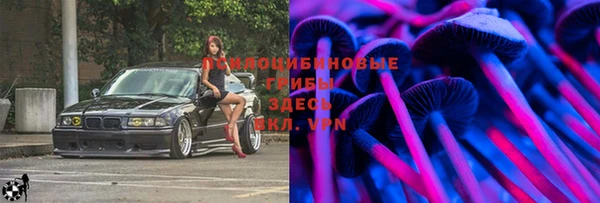 спайс Надым